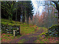 SH6638 : Ceunant Llennyrch Woodland Trail by Barry Hunter