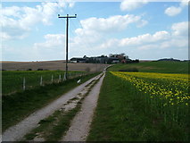  : Fields of gold by cris sloan