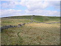  : Middlesmoor Pasture by John Illingworth