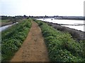 TF8444 : Norfolk Coast Path beside Overy Creek by Nigel Stickells