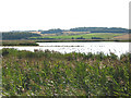 TG0544 : Cley salt marshes, nature reserve by Pauline E