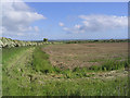  : Farmland near Lowick by Walter Baxter