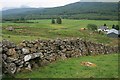  : Wall Behind Kirkton Farm by Mick Garratt