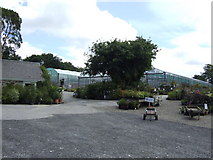  : Nursery at Laveddon Mill by Jonathan Billinger