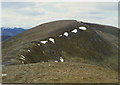 NN6142 : View towards Meall a' Choire Leith by Nigel Brown