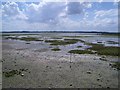 TF9945 : Mudflats South of Blakeney Point by Nigel Stickells