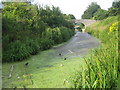 SP9011 : Grand Union Canal (Wendover Arm) in Drayton Beauchamp by Nigel Cox