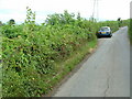 ST3196 : Back road ... hedging ones bets by Nick Mutton 01329 000000