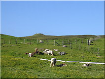  : Earthwork at reservoir near Stoura Roona by Ken Craig