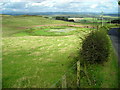 NY0974 : Field and Pond Close to Almagill by Iain Thompson