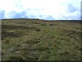  : Faint track from Long Mire to the cairn at point 401 mtrs by Keith Wright