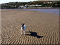 SM9538 : Goodwick sands from the eastern breakwater by Natasha Ceridwen de Chroustchoff