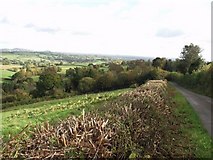  : View towards Red house by John Haynes