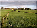 SD8058 : Ribble Way approaching Hollow Gill by Chris Heaton