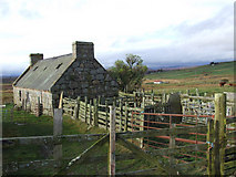  : Croft at  Achork by sylvia duckworth