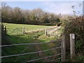 SX8767 : Permissive path to Kerswell Down woods by Derek Harper