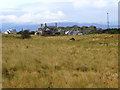 NH8069 : Looking back towards Nigg Ferry by sylvia duckworth