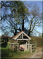 TA1842 : St Helen's Well, Great Hatfield (set of 2 images) by Paul Glazzard