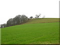 SJ2905 : View of Belan Bank from the East by Stephen Craven