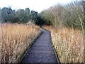 TL4045 : Fowlmere boardwalk by Mr Ignavy