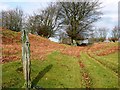 ST2394 : Footpath to Rhyswg-ganol by Graham Horn