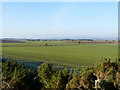 NH8475 : Looking across the old airfield, near Shandwick by sylvia duckworth