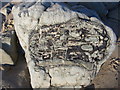 SZ2193 : Boulder on Highcliffe beach Hampshire by Clive Perrin