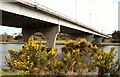 C8431 : The Sandelford Bridge, Coleraine by Albert Bridge