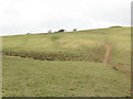 SS6742 : Spring at the head of a combe by Stephen Craven