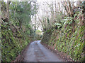 SS6744 : Sunken lane, Parracombe by Stephen Craven