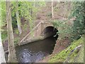 SJ6834 : River Tern flowing under Shropshire Union Canal by John M