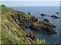 SX8848 : Western Combe Cove by Derek Harper