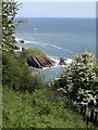 SX9150 : View of Pudcombe Cove by Derek Harper