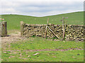  : Gateway to the next pasture, Bolton Abbey estate by Peter Church