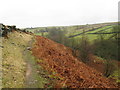 SD9830 : Lumb Hole Waterfall Path by Raymond Knapman