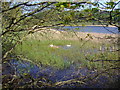 NX8654 : White Loch, Colvend by Ann Cook