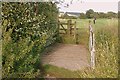 SU6477 : Bridge over Sulham stream by Graham Horn