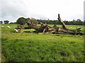 NY5163 : Fallen tree on the Trail by Oliver Dixon