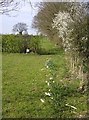 TM3685 : Footpath towards Highfield Farm by Graham Horn