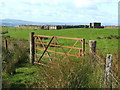 NS4575 : Sheepfold near Loch Humphrey by Lairich Rig