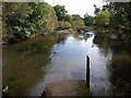 SX8574 : Sandbank, River Teign below Preston by Derek Harper