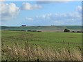  : Germinating crop, near the road to Broad Town by Brian Robert Marshall