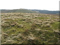 NS4478 : Top of Meikle White Hill - looking south by Lairich Rig