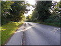 TM2851 : B1438 Yarmouth Road by Geographer