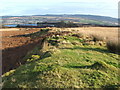 NS3678 : Looking east along a rocky ridge with mounds by Lairich Rig