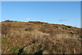 SS8577 : Tall dunes at Merthyr Mawr Warren by eswales