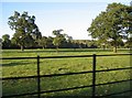 TL3451 : Wimpole Estate - grazing land by Mr Ignavy