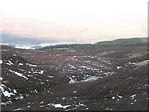  : Allt Lochan nan Geadas by Richard Webb