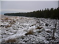  : Black Gutter on the edge of Stang Forest by Phil Catterall