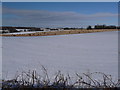 ST9404 : Tarrant Rushton: one field without snow by Chris Downer